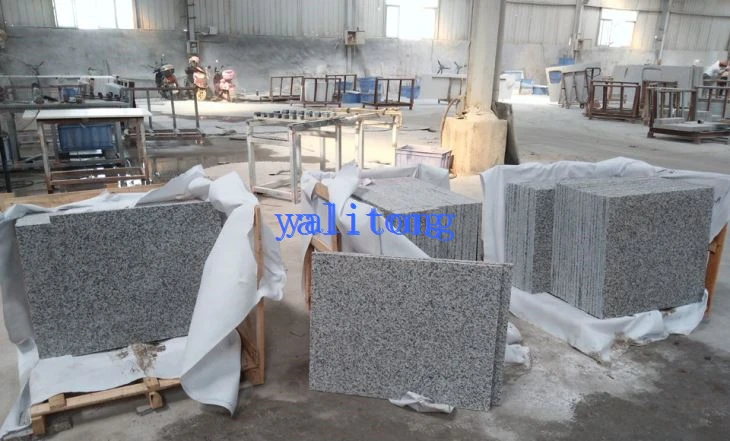 Polished Granite Floor